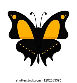 Isolated cute butterfly icon. Vector illustration design