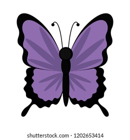 Isolated cute butterfly icon. Vector illustration design
