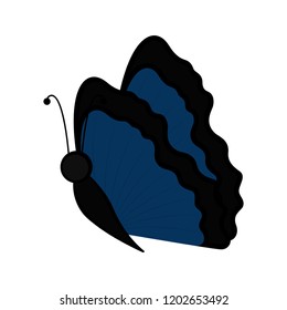 Isolated cute butterfly icon. Vector illustration design