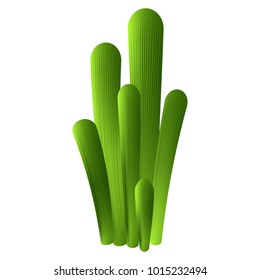 Isolated cute cactus
