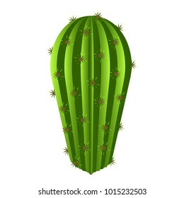 Isolated cute cactus