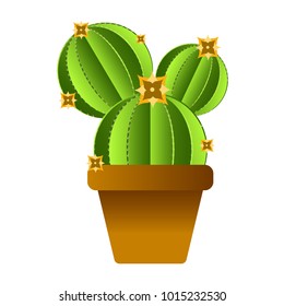 Isolated cute cactus