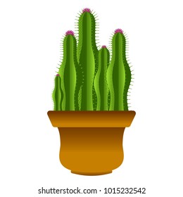 Isolated cute cactus
