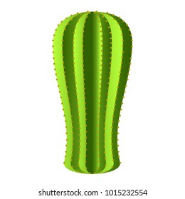 Isolated cute cactus
