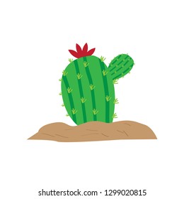 Isolated cute cactus with a flower. Vector illustration design