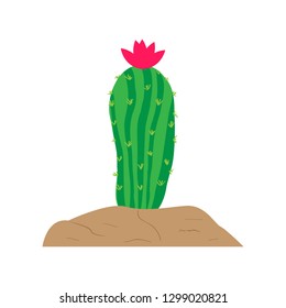 Isolated cute cactus with a flower. Vector illustration design