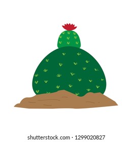 Isolated cute cactus with a flower. Vector illustration design