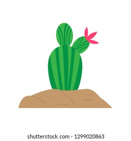 Isolated cute cactus with a flower. Vector illustration design