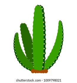 Isolated cute cactus icon. Vector illustration design