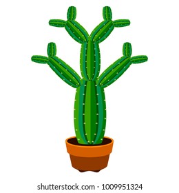 Isolated cute cactus icon. Vector illustration design