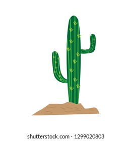 Isolated cute cactus image. Vector illustration design