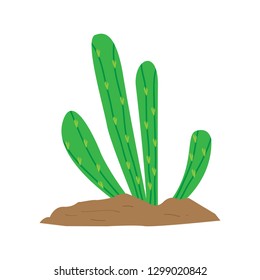 Isolated cute cactus image. Vector illustration design