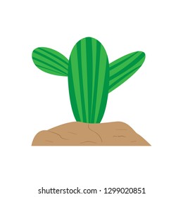 Isolated cute cactus image. Vector illustration design