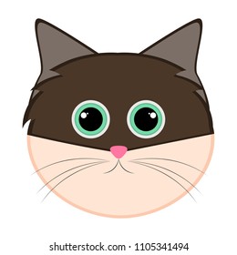 Isolated cute cat avatar