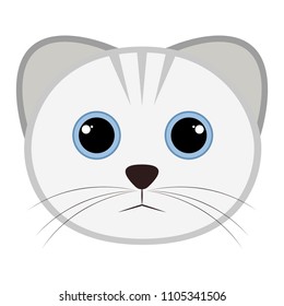 Isolated cute cat avatar
