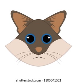 Isolated cute cat avatar