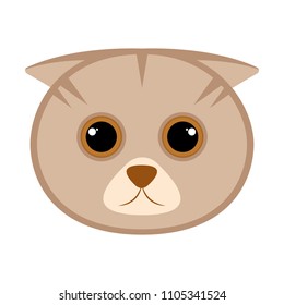 Isolated cute cat avatar