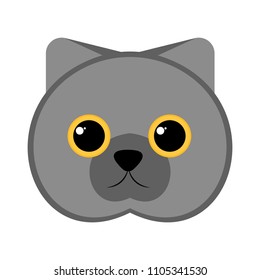 Isolated cute cat avatar