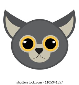 Isolated cute cat avatar