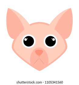 Isolated cute cat avatar