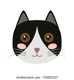 Isolated cute cat icon on a white background, Vector illustration
