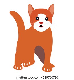 Isolated cute cat on a white background, Vector illustration