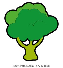 isolated cute cauliflower