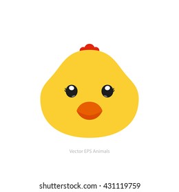 Isolated cute chicken on a white background