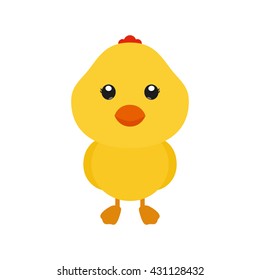 Isolated cute chicken on a white background