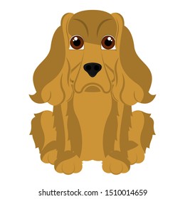 Isolated cute cocker spaniel. Dog breeds - Vector