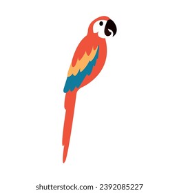 Personaje de dibujos animados de loro lindo y de color aislado Ilustración vectorial
