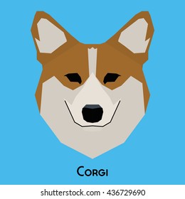 Isolated cute corgi on a blue background