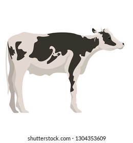 Isolated cute cow image. Vector illustration design