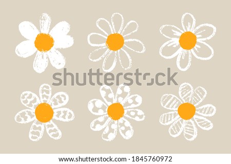 Isolated cute daisy flower set. Hand draw chamomile head. Yellow white floral marquerite in simple flat style. Vector printable Illustration ストックフォト © 