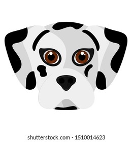 Isolated cute dalmatian cartoon. Dog Breeds - Vector