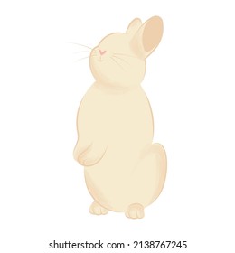 Isolated cute easter bunny animal Vector