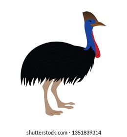 isolated cute emu
