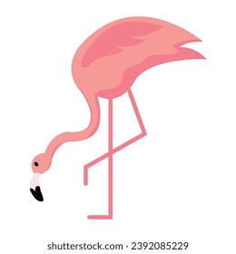 Personaje de flamingo lindo y aislado Ilustración vectorial
