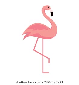 Personaje de flamingo lindo y aislado Ilustración vectorial