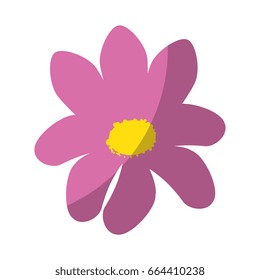 isolated cute flower