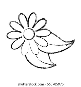 isolated cute flower