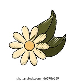 isolated cute flower