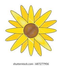 isolated cute flower