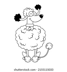 Isolated cute french poodle dog breed cartoon Vector illustration
