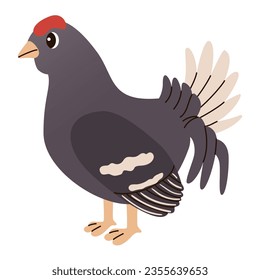 Isolated cute funny grouse in flat vector style on white background. Woodland life. Forest animal.