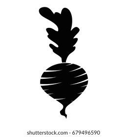 isolated cute garlic