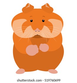 Isolated cute hamster on a white background, Vector illustration