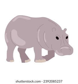 Isolated cute hippo cartoon character Vector illustration