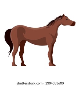 Isolated cute horse image. Vector illustration design