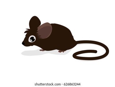 Isolated Cute little mouse vector illustration